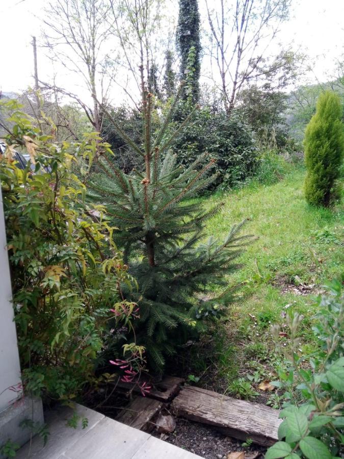 El Rinconin De Degu Villa San Juan de Parres Dış mekan fotoğraf